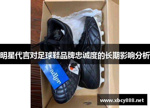 明星代言对足球鞋品牌忠诚度的长期影响分析