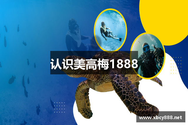 认识美高梅1888